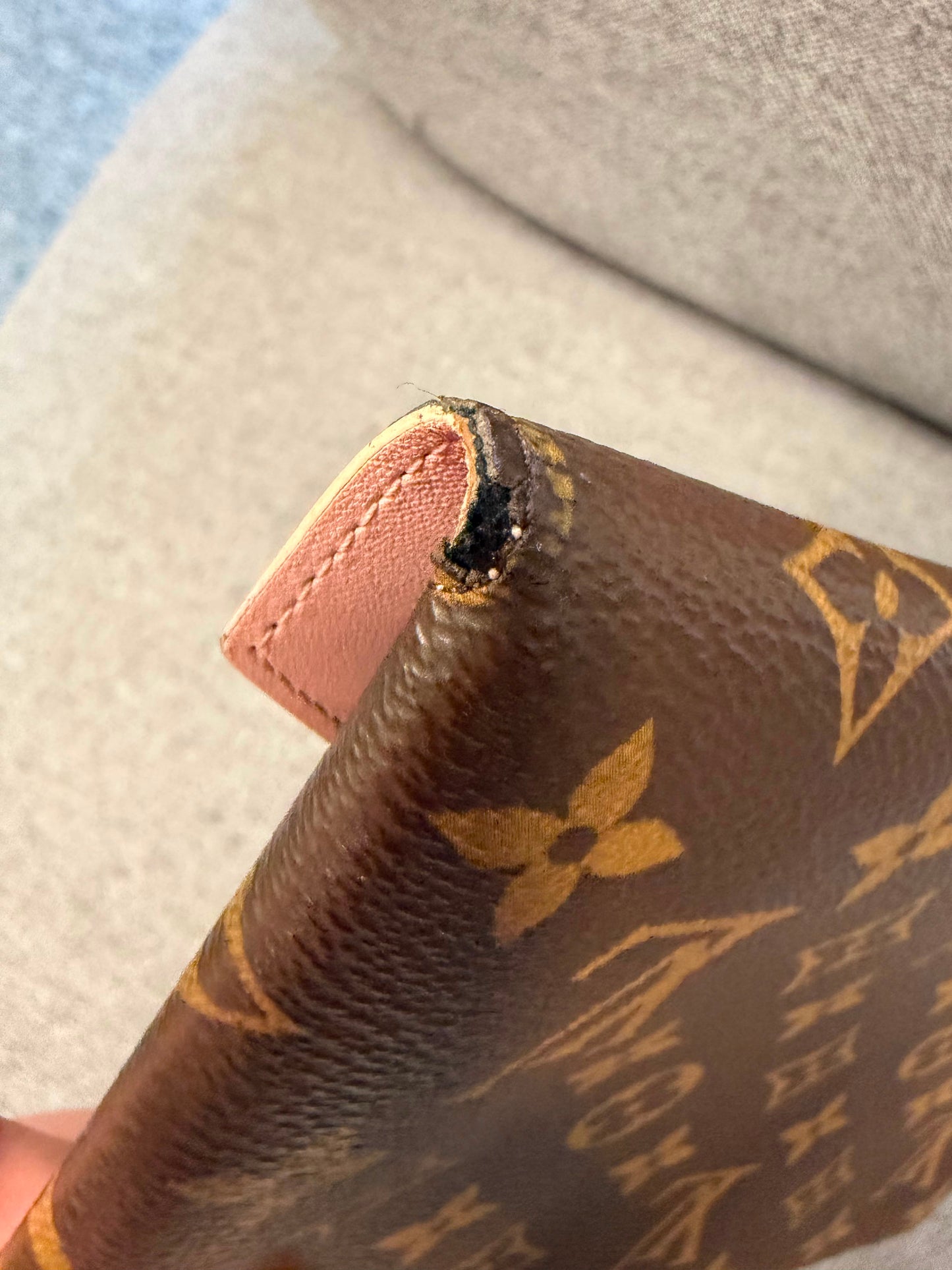 Louis Vuitton Monogram Pochette
